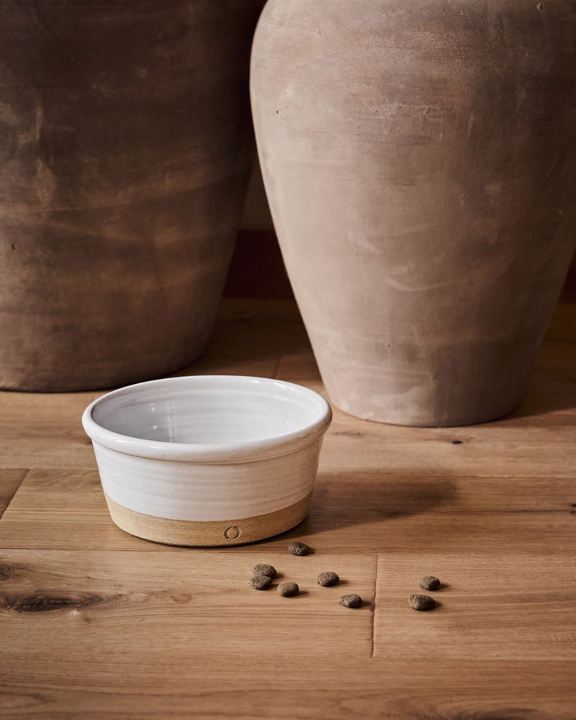 Farm Dog Bowl - Liza Pruitt