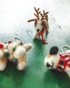Felted Festive Pup Ornament - Liza Pruitt
