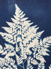 Fern Frond Silhouette | 24" h x 18" w - Liza Pruitt