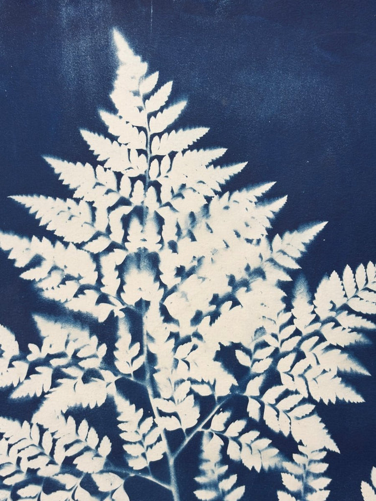 Fern Frond Silhouette | 24" h x 18" w - Liza Pruitt