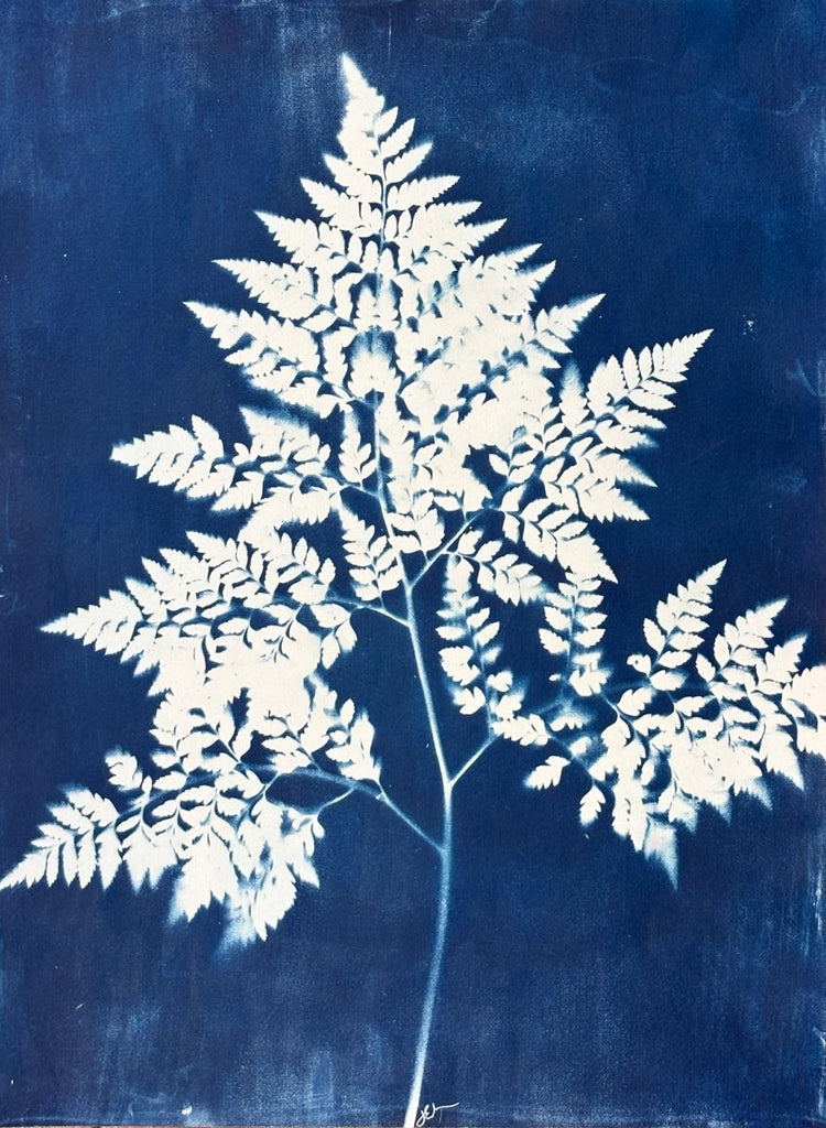 Fern Frond Silhouette | 24" h x 18" w - Liza Pruitt