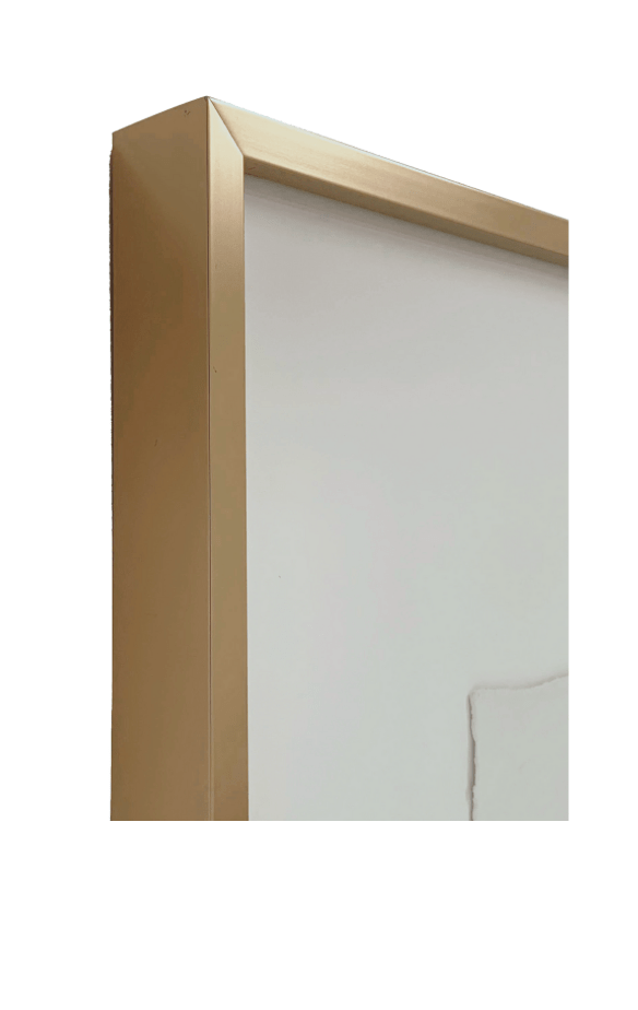 Flora III | 20" h x 16" w | Framed - Liza Pruitt