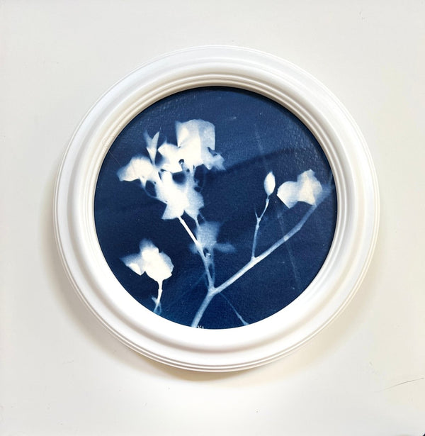 Flowering Dogwood Cyanotype | 8" h x 8" w | Framed - Liza Pruitt