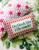 Fly Coach Needlepoint Pillow - Liza Pruitt