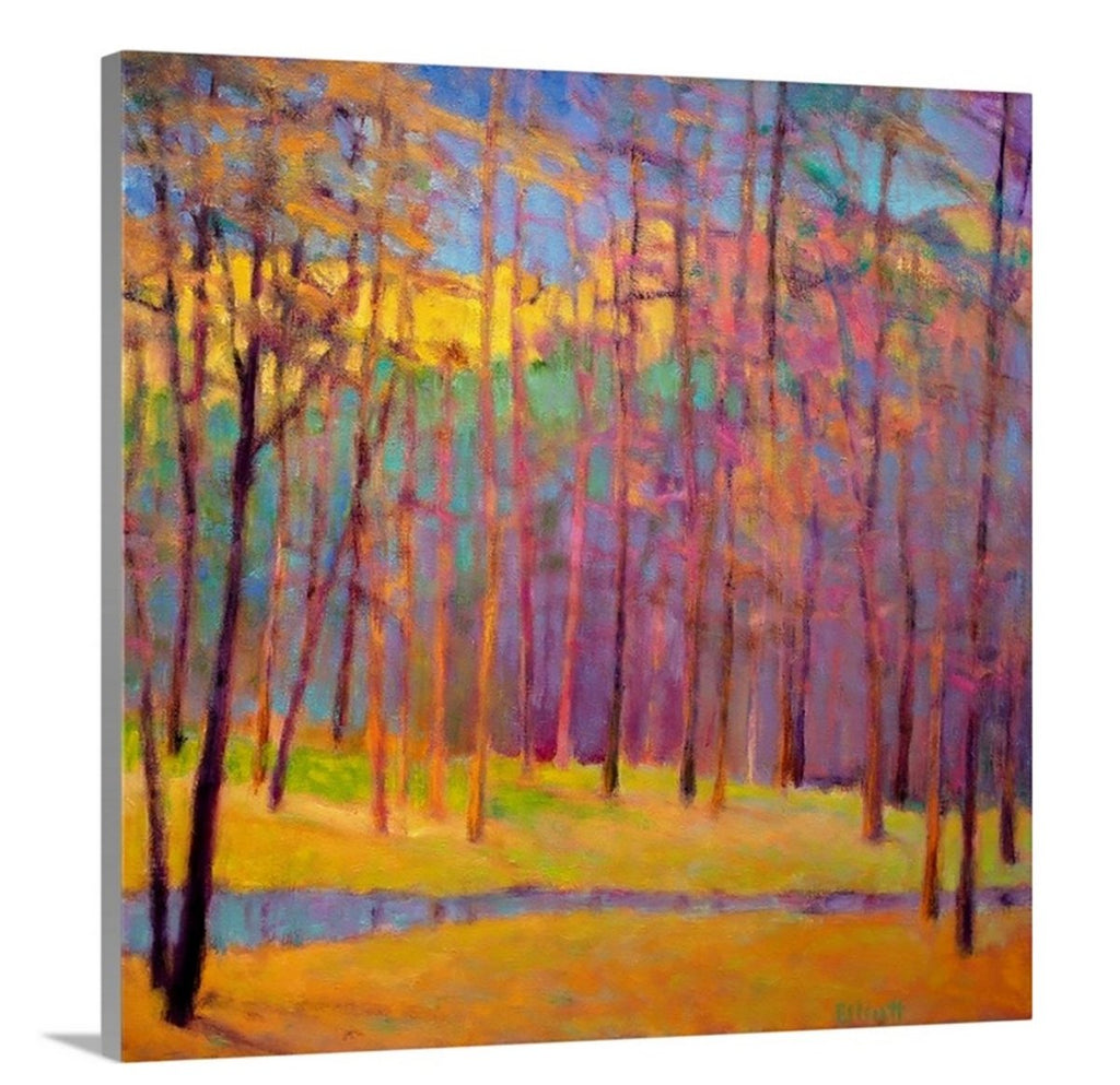 Forest Colors Arrayed - Open Edition Canvas Print - Liza Pruitt