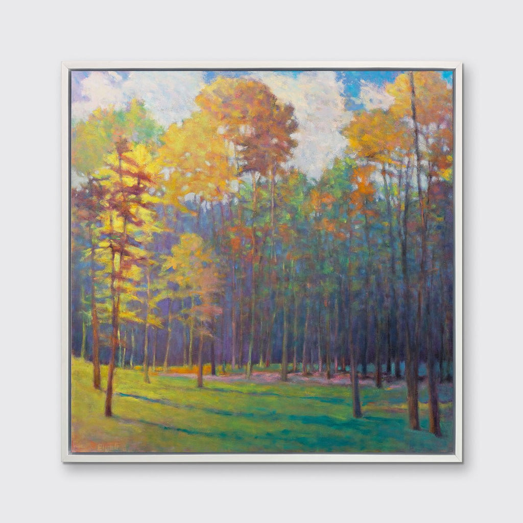 Forest Light into Shade - Limited Edition Canvas Print - Liza Pruitt