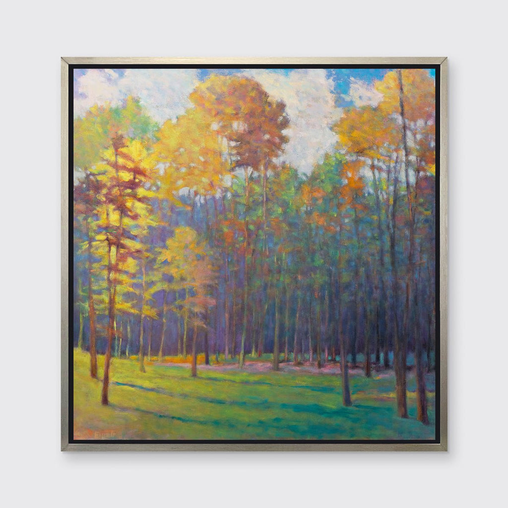 Forest Light into Shade - Limited Edition Canvas Print - Liza Pruitt