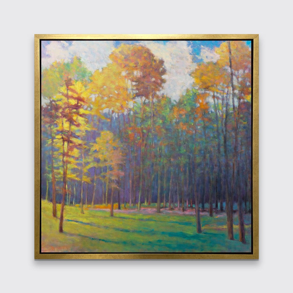 Forest Light into Shade - Limited Edition Canvas Print - Liza Pruitt