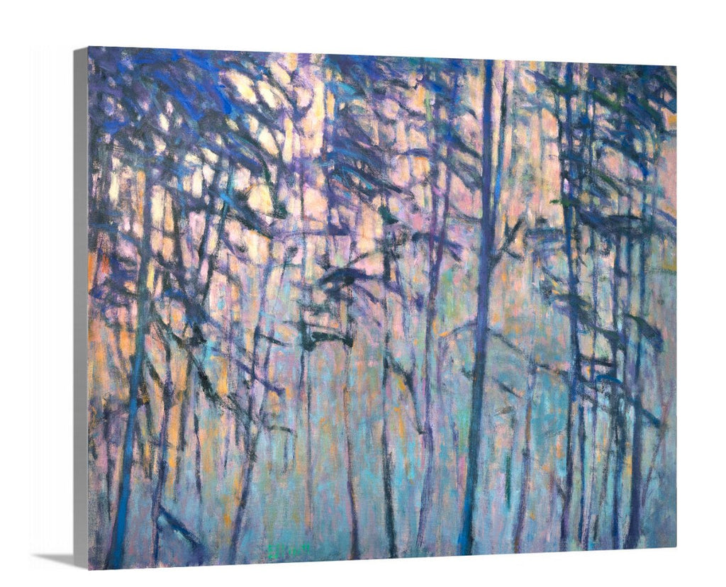 Forest Sequence 1 - Open Edition Canvas Print - Liza Pruitt
