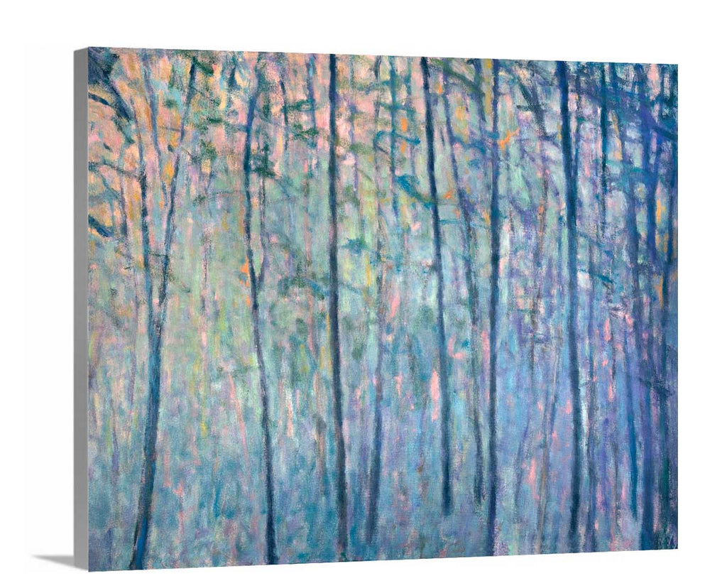 Forest Sequence 2 - Open Edition Canvas Print - Liza Pruitt