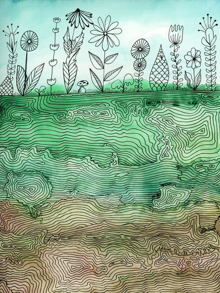 Garden Strata - Open Edition Canvas Print - Liza Pruitt