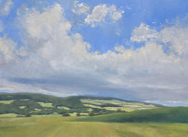 Gentle Rolling Hills | 36" h x 48" w - Liza Pruitt