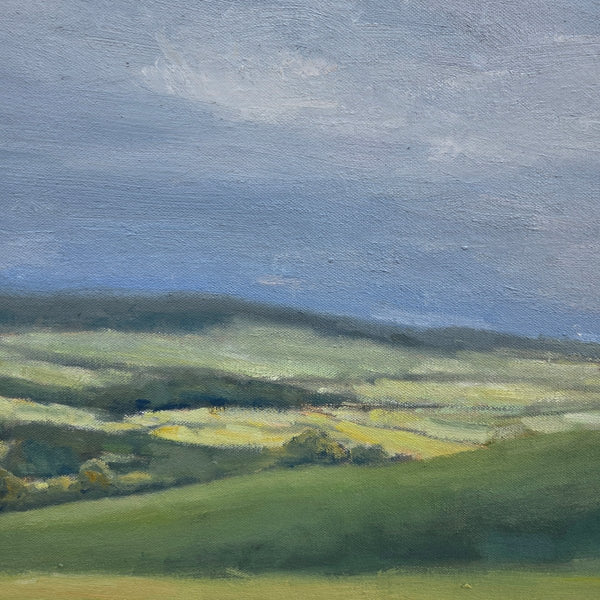Gentle Rolling Hills | 36" h x 48" w - Liza Pruitt