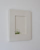 Geranium | 9" h x 11" w | Framed - Liza Pruitt