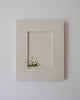 Geranium | 9" h x 11" w | Framed - Liza Pruitt