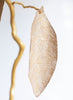 Golden Dream Leaf Triptych | 30 - 34" h - Liza Pruitt