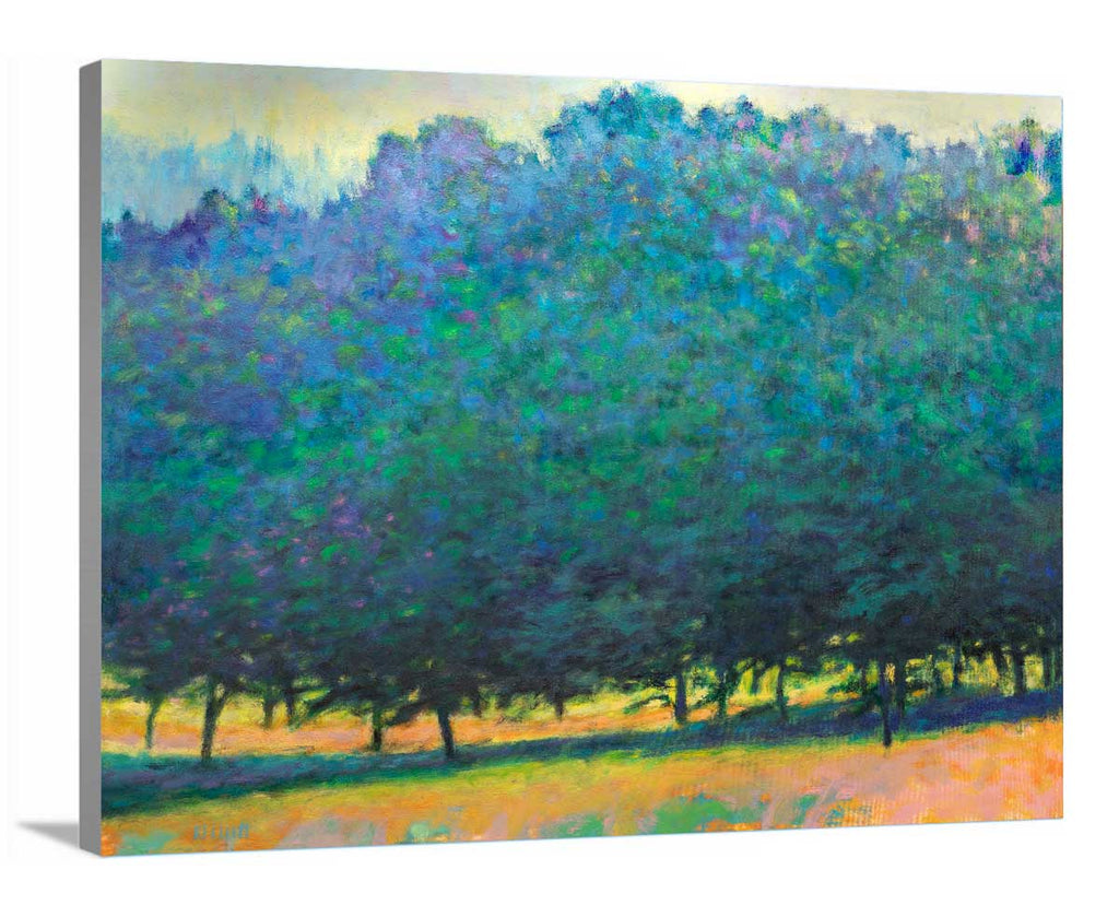 Greens Moving Across - Limited Edition Canvas Print - Liza Pruitt