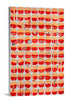 Happy Birthday My Love - Open Edition Canvas Print - Liza Pruitt