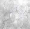 Helichrysum - Limited Edition Canvas Print - Liza Pruitt