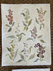 Herbarium Reds | 20" h x 16" w | Original - Liza Pruitt