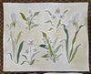 Herbarium Whites | 16" h x 20" w | Original - Liza Pruitt