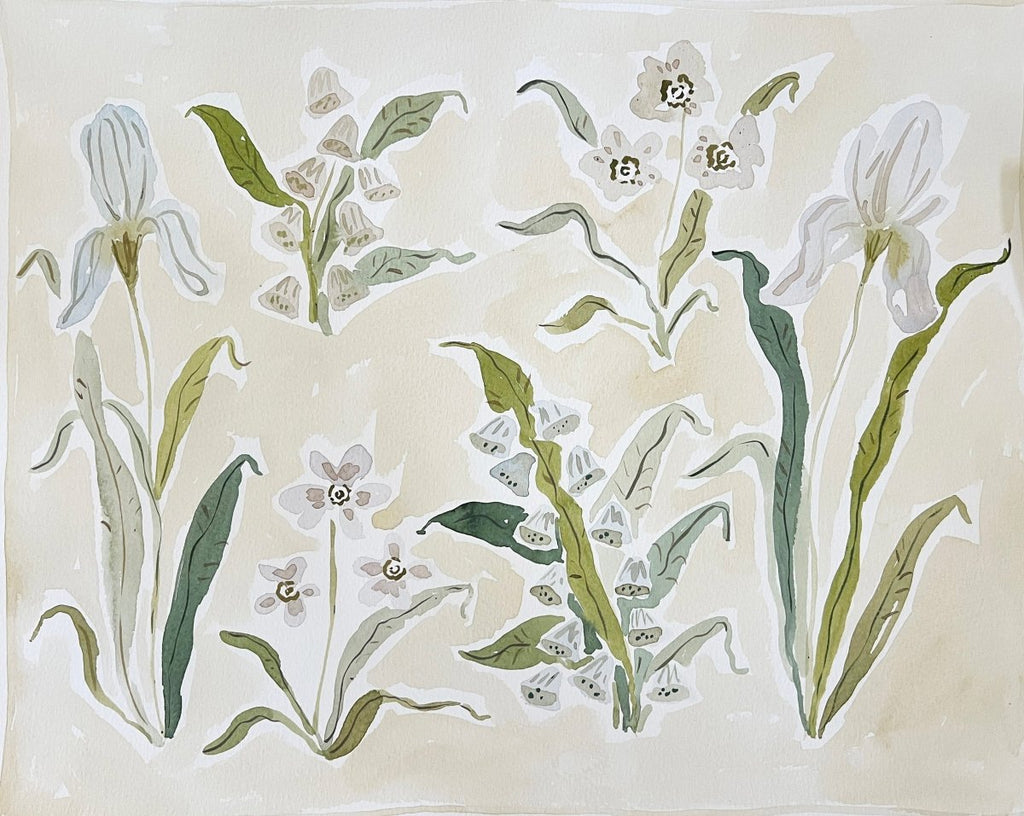 Herbarium Whites | 16" h x 20" w | Original - Liza Pruitt