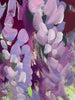Hidden Treasures | 40" h x 30" w | Framed - Liza Pruitt