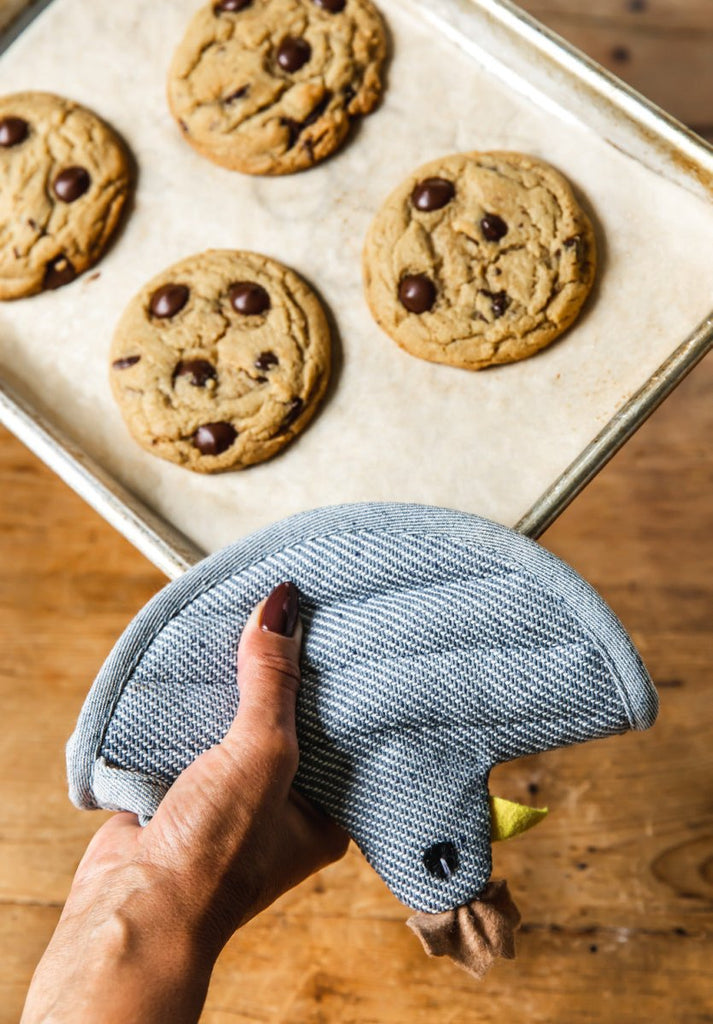 Homestead Hen Potholder - Liza Pruitt