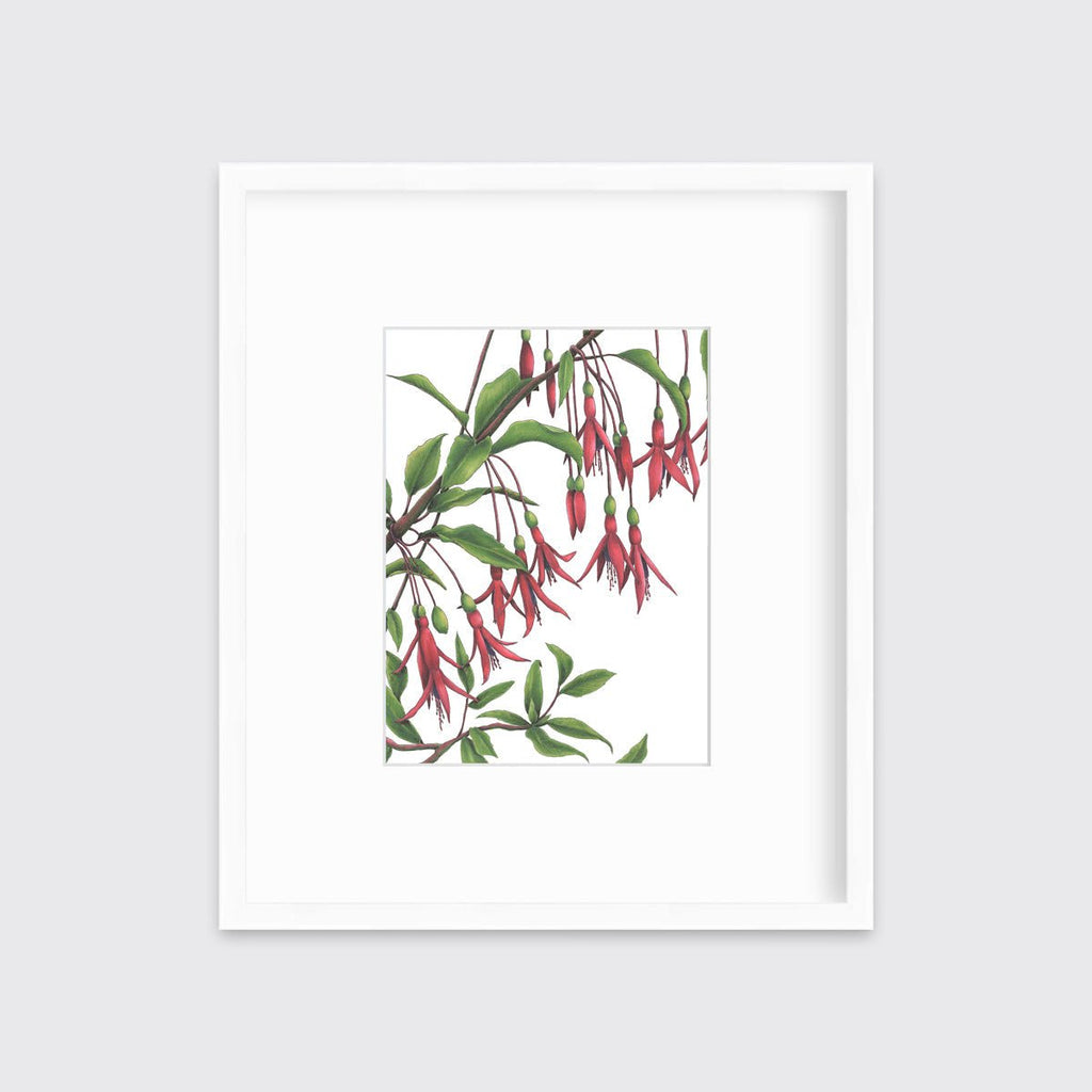 Hummingbirds - Open Edition Paper Print - Liza Pruitt