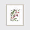 Hummingbirds - Open Edition Paper Print - Liza Pruitt