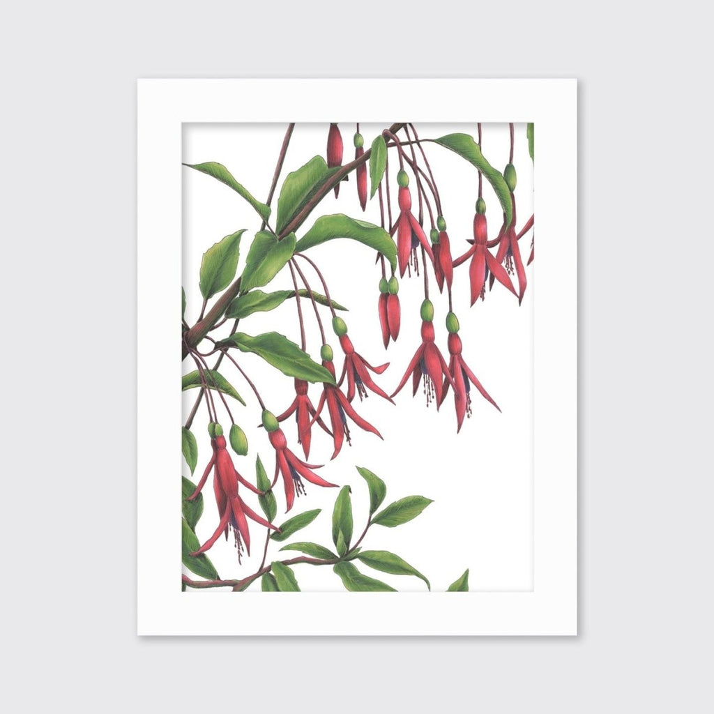 Hummingbirds - Open Edition Paper Print - Liza Pruitt