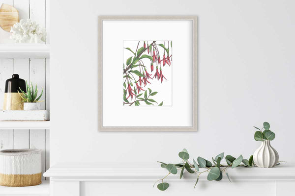 Hummingbirds - Open Edition Paper Print - Liza Pruitt