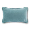 Iconic Needlepoint Pillow - Liza Pruitt