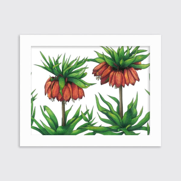 Imperials - Open Edition Paper Print - Liza Pruitt