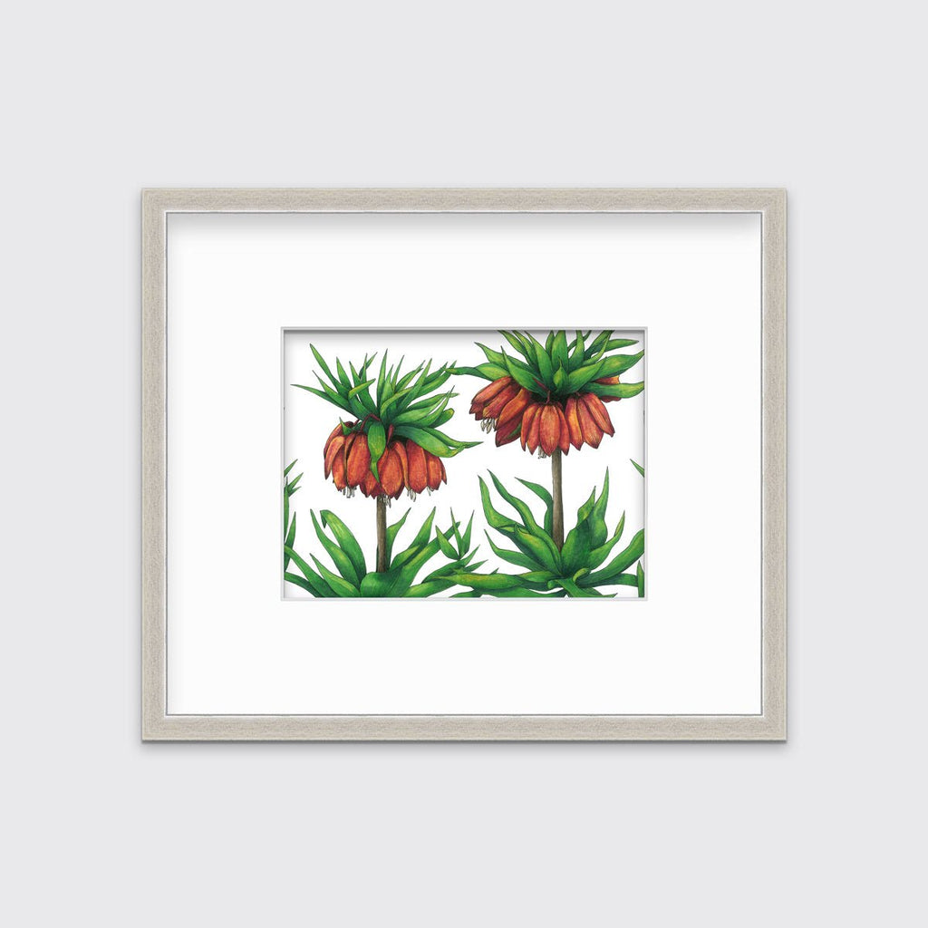 Imperials - Open Edition Paper Print - Liza Pruitt