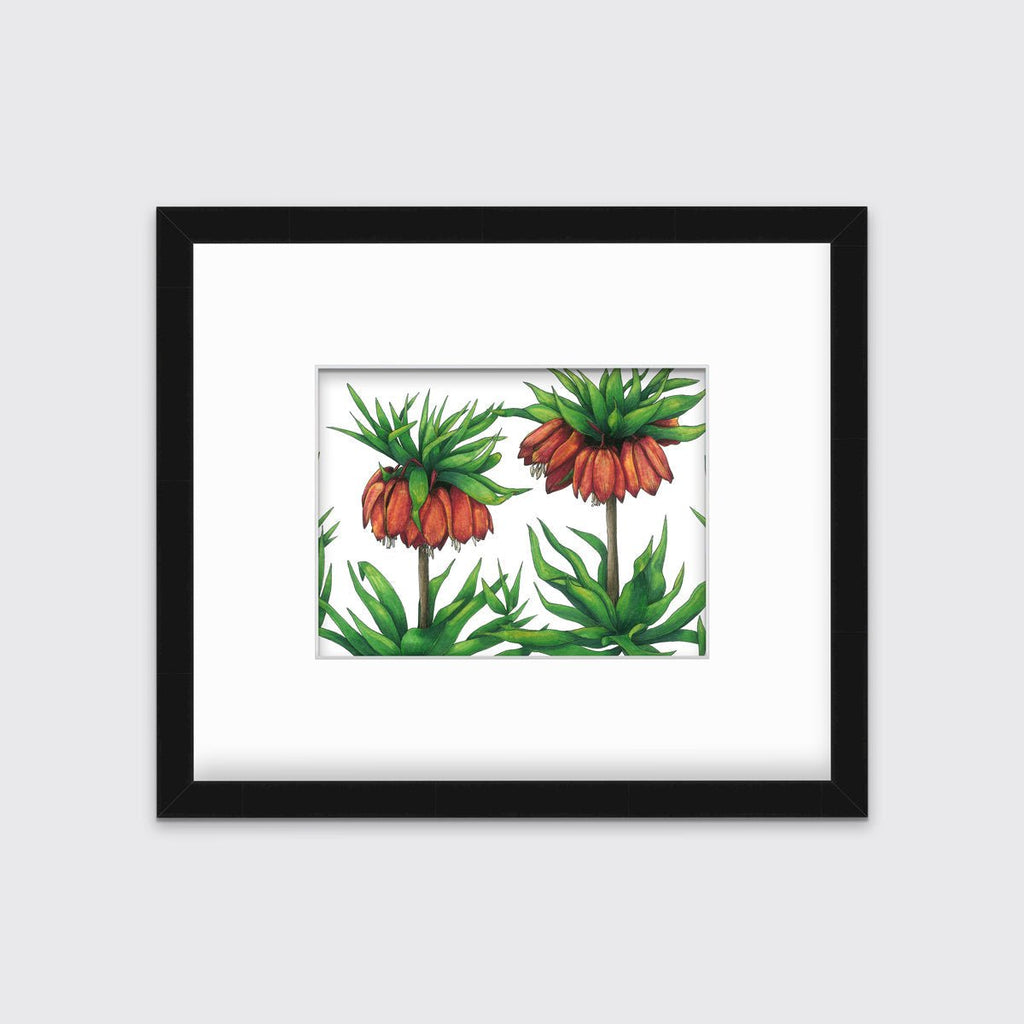 Imperials - Open Edition Paper Print - Liza Pruitt