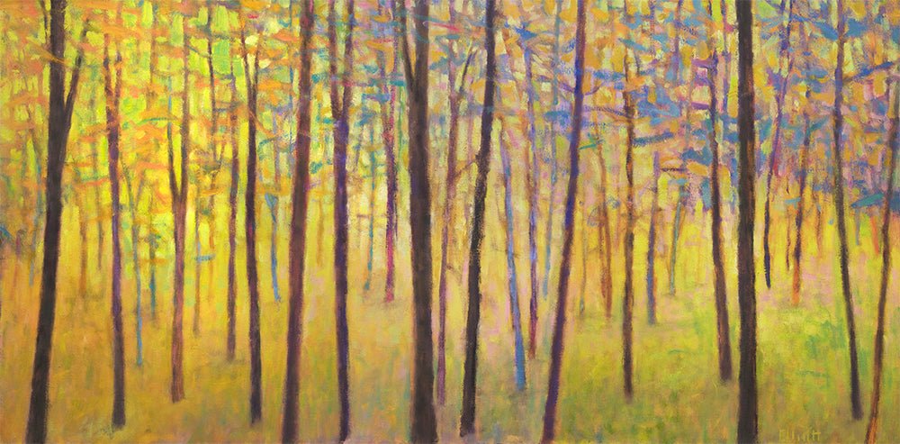 In the Colorful Forest - Limited Edition Canvas Print - Liza Pruitt