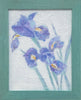 Irises | 16.5" h x 13.5" w | Framed - Liza Pruitt