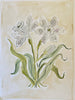 Ivory Garden | 12" h x 9" w | Original - Liza Pruitt