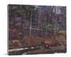 January Thaw - Open Edition Canvas Print - Liza Pruitt