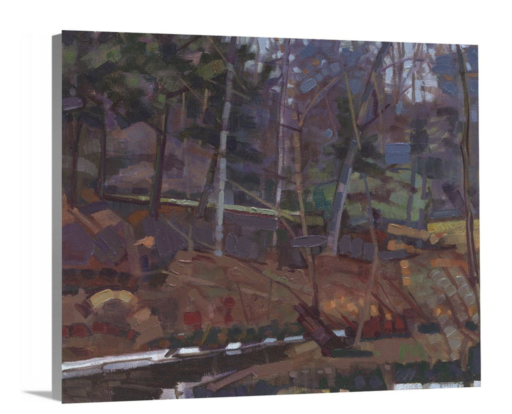 January Thaw - Open Edition Canvas Print - Liza Pruitt