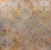 Krameria - Limited Edition Canvas Print - Liza Pruitt