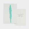 Large Angel Feather - Liza Pruitt