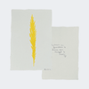 Large Angel Feather - Liza Pruitt
