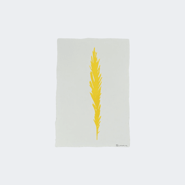Large Angel Feather - Liza Pruitt
