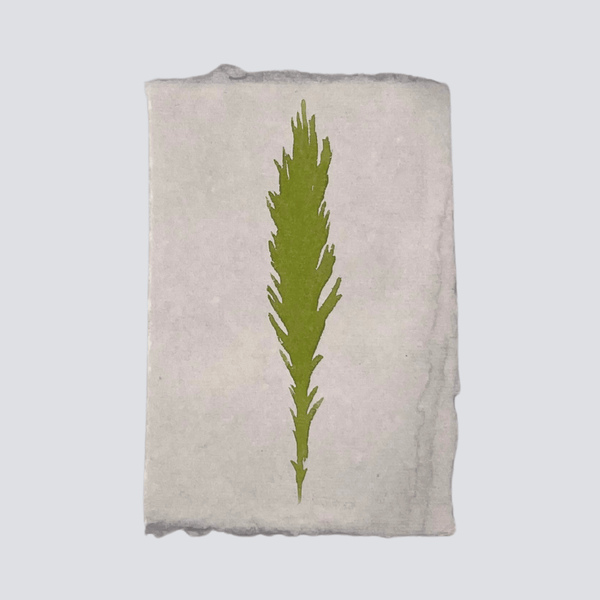 Large Moss Green Angel Feather - Liza Pruitt