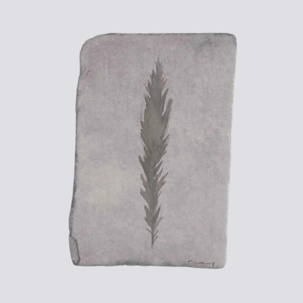 Large Rhino Gray Angel Feather - Liza Pruitt