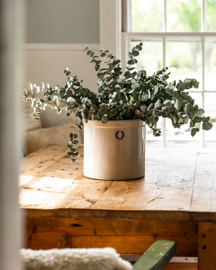 Laurel Crocks - Liza Pruitt