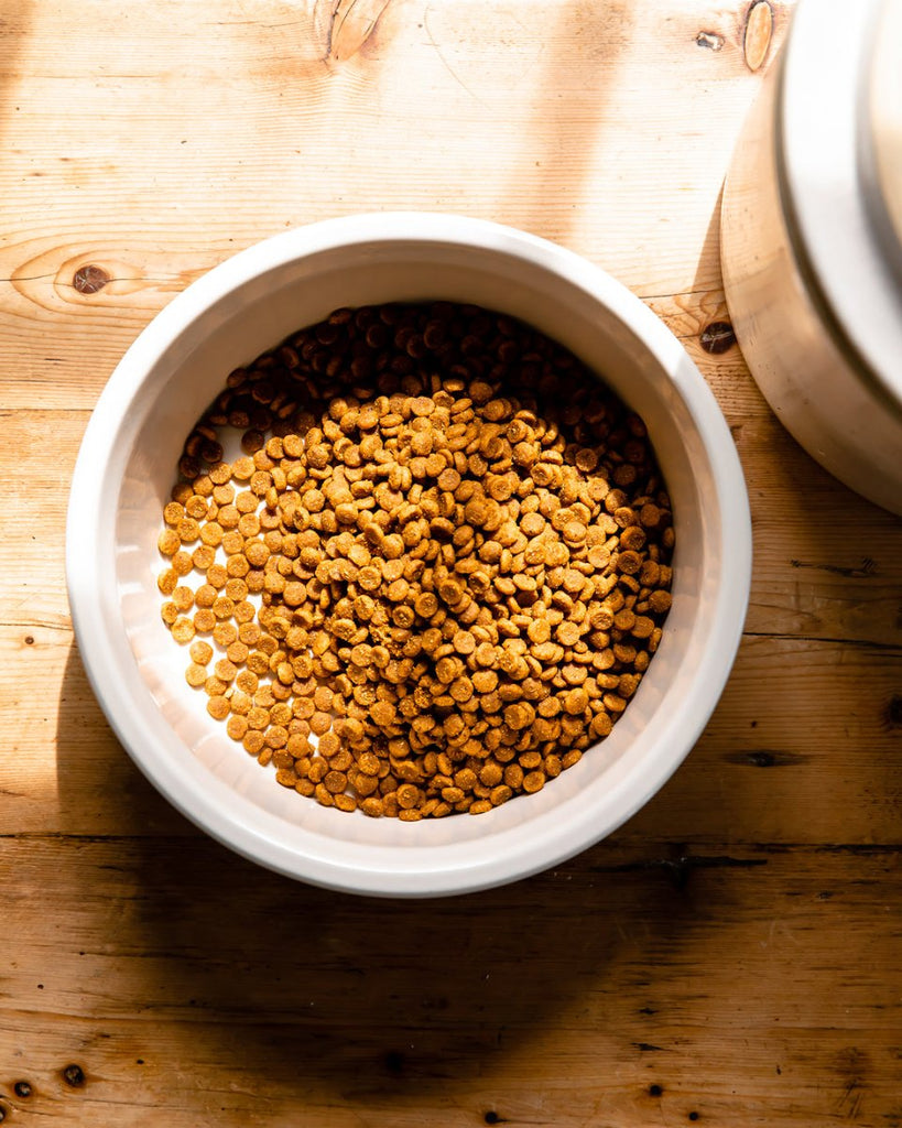 Laurel Dog Bowl - Liza Pruitt