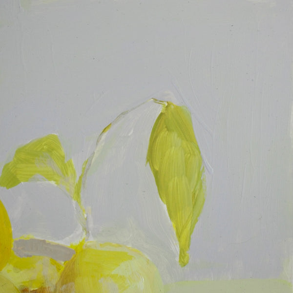 Lemon Light 1 | 12" h x 12" w - Liza Pruitt